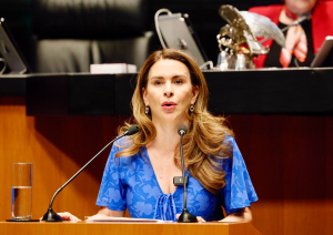 GPPRI propone castigo severo y directo al reclutamiento de ni&ntilde;as, ni&ntilde;os y adolescentes por el crimen organizado