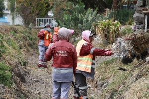 Francisca: 18 a&ntilde;os en el mantenimiento urbano