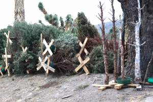 En Hidalgo se impulsa la prevenci&oacute;n en materia ambiental con &ldquo;Regr&eacute;salo a la Tierra, Cierra el Ciclo&rdquo;