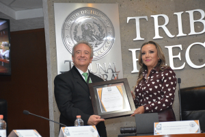 &ldquo;Entrega de la Medalla al M&eacute;rito Jur&iacute;dico Electoral&rdquo;.&nbsp; 3a Edici&oacute;n.