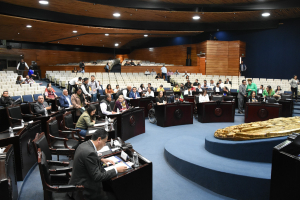 Busca Congreso de Hidalgo proteger a ni&ntilde;as, ni&ntilde;os y adolescentes