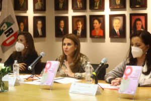 EL PRI ES EL PARTIDO QUE M&Aacute;S IMPULSA LA PARTICIPACI&Oacute;N DE LAS MUJERES: CAROLINA VIGGIANO