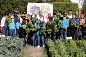 Realizan primera cosecha del Huerto Urbano en Pachuca