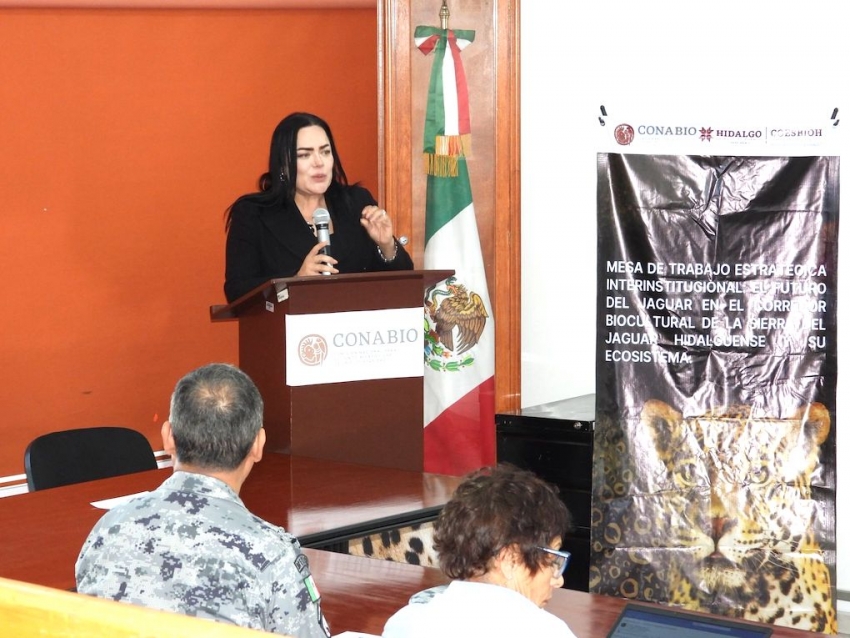 Fortalecen acciones para la conservación del jaguar