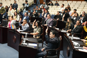 Integrantes de la LXVI Legislatura proponen aumentar penas por delito de feminicidio y reconocimiento a los derechos de los pueblos ind&iacute;genas&nbsp;