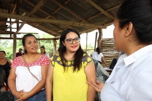 IHM replica estrategia nacional para reactivar la economía de las mujeres 