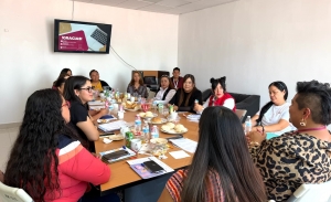 Impulsan atenci&oacute;n integral a mujeres mediante trabajo coordinado