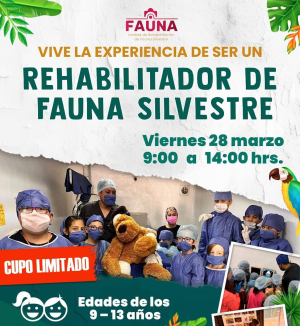 Ni&ntilde;as y ni&ntilde;os rehabilitadores de fauna silvestre