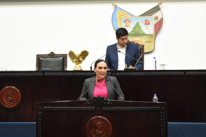 Ni&ntilde;as y ni&ntilde;os que viven con sus madres en reclusi&oacute;n no deben ser invisibles para el estado: Erika Rodr&iacute;guez