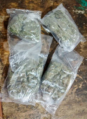 Evitan custodios que mujer ingresara&nbsp;enervantes al Cereso de Pachuca