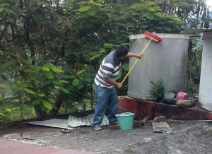 Panorama Epidemiol&oacute;gico de Dengue en el Estado de Hidalgo