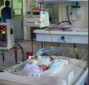 17 de noviembre, D&iacute;a Mundial de la Ni&ntilde;a y el Ni&ntilde;o Prematuro