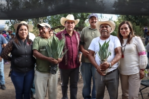 Promueve Saderh producción de maguey pulquero en Hidalgo 