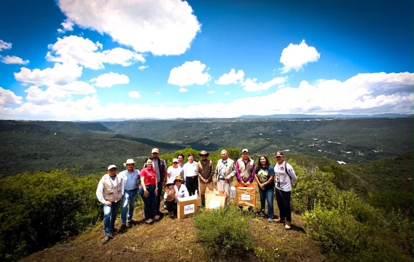 Pachuca reintegra 105 ejemplares de fauna silvestre a su hábitat