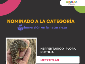 Abiertas las votaciones para elegir a favoritos&nbsp;&nbsp;de Galardones a la Innovaci&oacute;n Tur&iacute;stica 2024