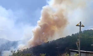 Gobierno de Hidalgo atiende incendio en Tlahuiltepa y garantiza coordinación para sofocarlo