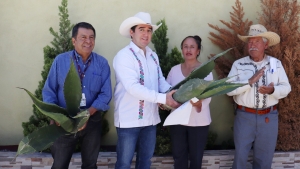 Titular de la Saderh entreg&oacute; hijuelos de maguey&nbsp;a productores de Zempoala
