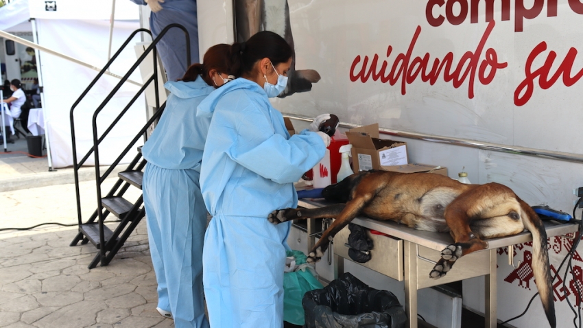 Acercan servicios médicos a San José Boxay, con Jornadas de la Salud