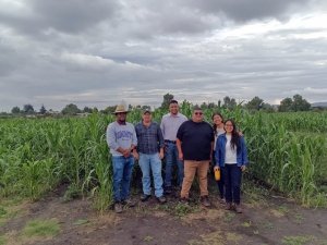 ITESHU y CIMMYT desarrollan alternativas para mejorar la producci&oacute;n agr&iacute;cola