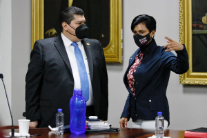 VELAR POR PERSONAS ADULTAS MAYORES PARA GARANTIZAR SU ATENCI&Oacute;N Y&nbsp; DERECHOS HUMANOS: GLPRI