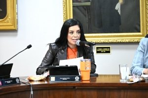 Diputada llama a fortalecer el marco jur&iacute;dico para prevenir el reclutamiento de ni&ntilde;as, ni&ntilde;os y adolescentes en Hidalgo