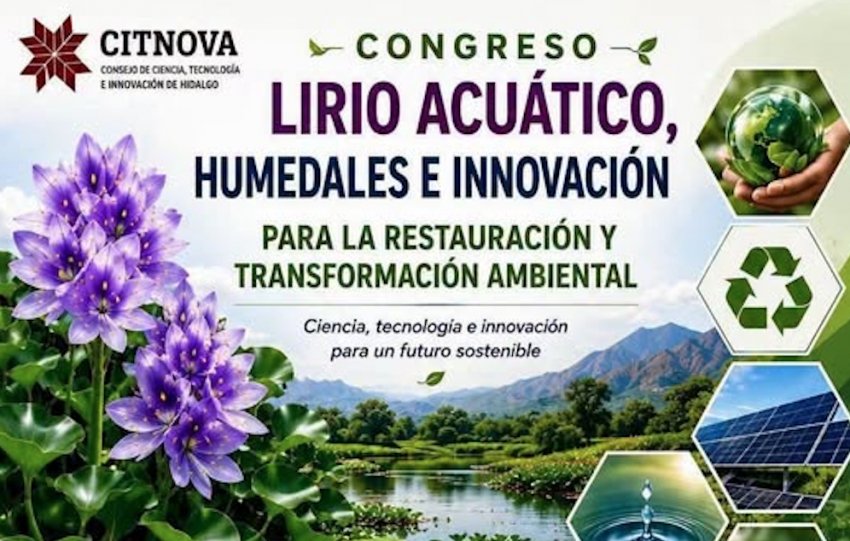 Abordarán retos del lirio acuático y los humedales en congreso organizado por Citnova