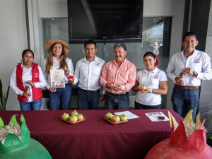 Realizar&aacute;n en Tasquillo la octava edici&oacute;n&nbsp;del Festival Cultural Estatal de la Granada