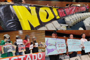 Analizan prohibir las corridas de toros en Hidalgo.