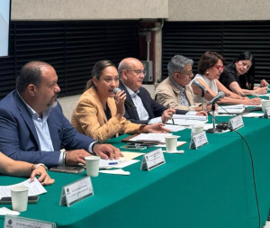 Rubio S&aacute;nchez propone reforma al Seguro Social para garantizar pensi&oacute;n a familiares de trabajadores fallecidos