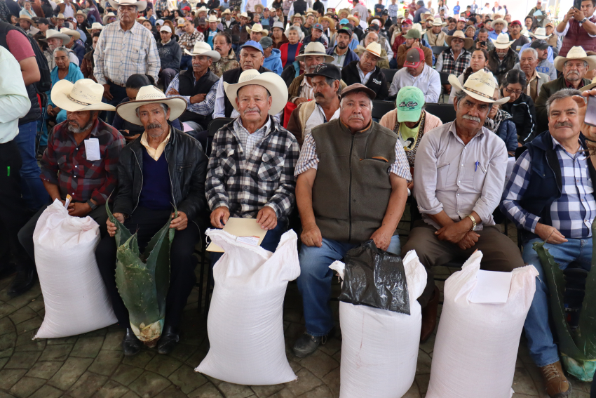 Más de mil 800 productores hidalguenses reciben semillas e hijuelos de maguey
