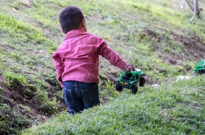 Acciones preventivas ante intoxicaciones&nbsp;por picadura de alacr&aacute;n
