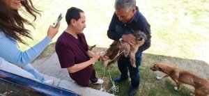 En Hidalgo se inmunizar&aacute; a m&aacute;s de 202 mil perros y gatos