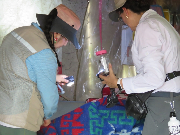 La enfermedad de Chagas es causada por el par&aacute;sito Trypanosoma cruzi, un 70 % de los casos, las personas infectadas no muestran s&iacute;ntomas espec&iacute;ficos