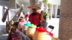 Conmemora Hidalgo D&iacute;a Estatal del Maguey