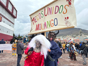 Prepara Hidalgo sus carnavales