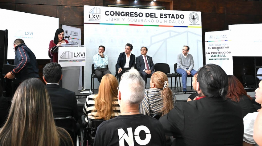 Entre tradición y derechos: debaten el futuro de la tauromaquia