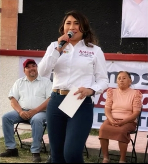 Impugna Partido Verde postulación de Araceli Beltrán a diputación federal de Ixmiquilpan