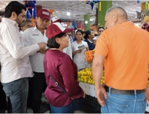 Tatiana Ángeles para defender la cuarta transformación a nivel federal