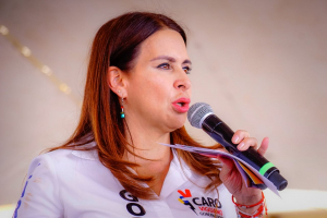 El 5 de junio ser&aacute; la verdadera encuesta: Carolina Viggiano