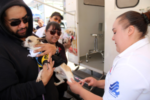 28 de septiembre, D&iacute;a Mundial contra la Rabia