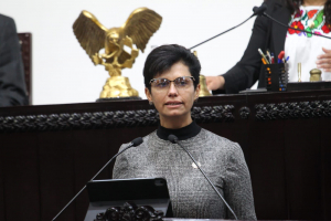 Poblaci&oacute;n ind&iacute;gena con discapacidad, sin protecci&oacute;n en derechos ling&uuml;&iacute;sticos: Roc&iacute;o Sosa.