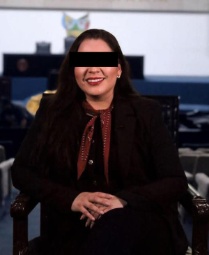 Van por Alhely Medina y otros seis; la diputada obtuvo licencia a su cargo