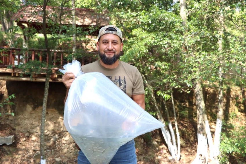 Entregan 70 mil crías de trucha en la Comarca Minera y Otomí-Tepehua