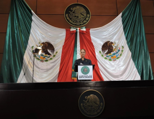 Mirna Rubio Sánchez impulsa la creación del Registro Nacional de Personas Migrantes Detenidas