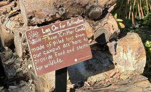 COESBIOH participa en la 24&deg; Conferencia Anual Internacional de Protecci&oacute;n de Polinizadores