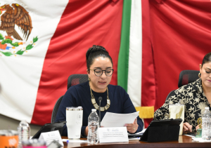 Diputada M&oacute;nica Reyes Mart&iacute;nez presenta Iniciativa para la Integraci&oacute;n de la Polic&iacute;a Violeta al Marco legal en Hidalgo&nbsp;
