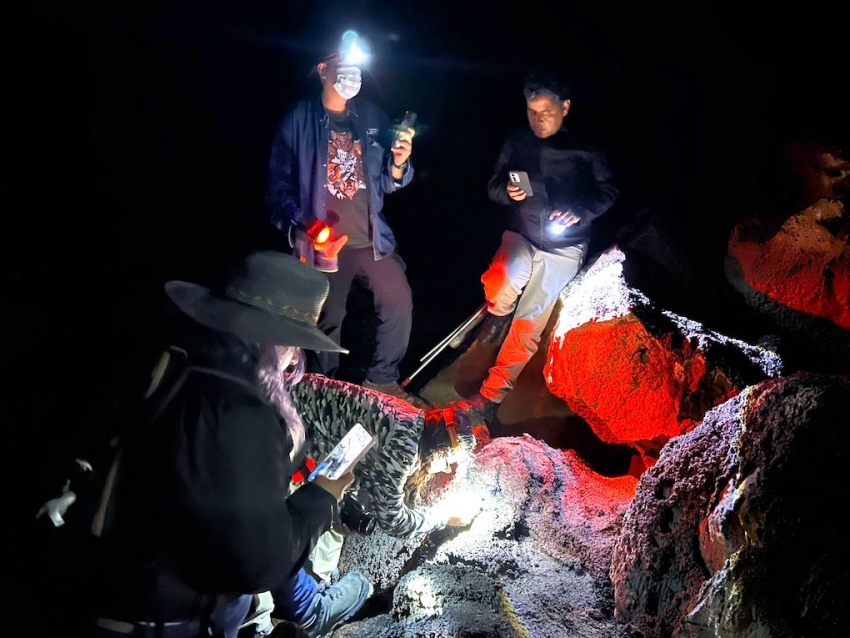 Hidalgo fortalece la conservación de murciélagos tras registro relevante en cueva de Cuautepec
