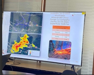 Reporte actualizado de incendios forestales en Hidalgo