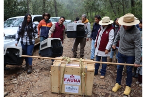 Hidalgo prioriza acciones a favor de su biodiversidad