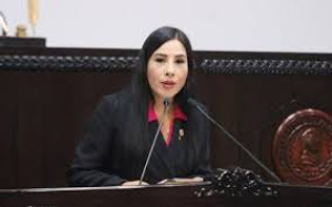 Primer encuentro Nacional de megal&oacute;polis servir&aacute; para activar nuevas leyes: Hilda Miranda